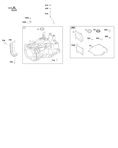 Cylinder Group Diagram and Parts List for 125P02-0026-H5 100000 - 19Z999 Briggs and Stratton Engine